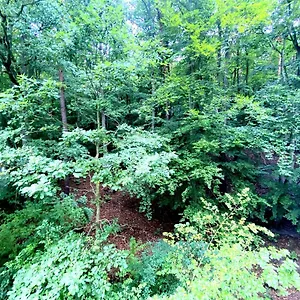 Forest - 23 Marca By Grand Apartament